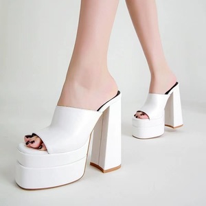 Thick Heel Women's <b>Shoes</b> 2022 Spring Waterproof Platform Sandals One-line slippers Hate the High Sandals Women - Product Image 3