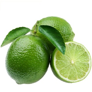 Pó de Suco de Limão Verde Concentrado Spray Natural para Mistura Instantânea de Chá de Limão Bebida em Pó da Fábrica BRC - Product Image 4