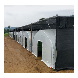 Invernadero de Estructura de Acero de Alta Calidad SINO con Sistema de Ventilación Automático, Película de PE de Doble Capa, Tamaño Personalizable - Product Image 6