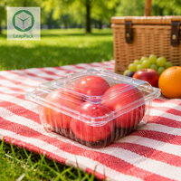 Boîte Cadeau en Plastique Alimentaire pour Fruits, Jetable et Recyclable avec Gaufrage et Estampage