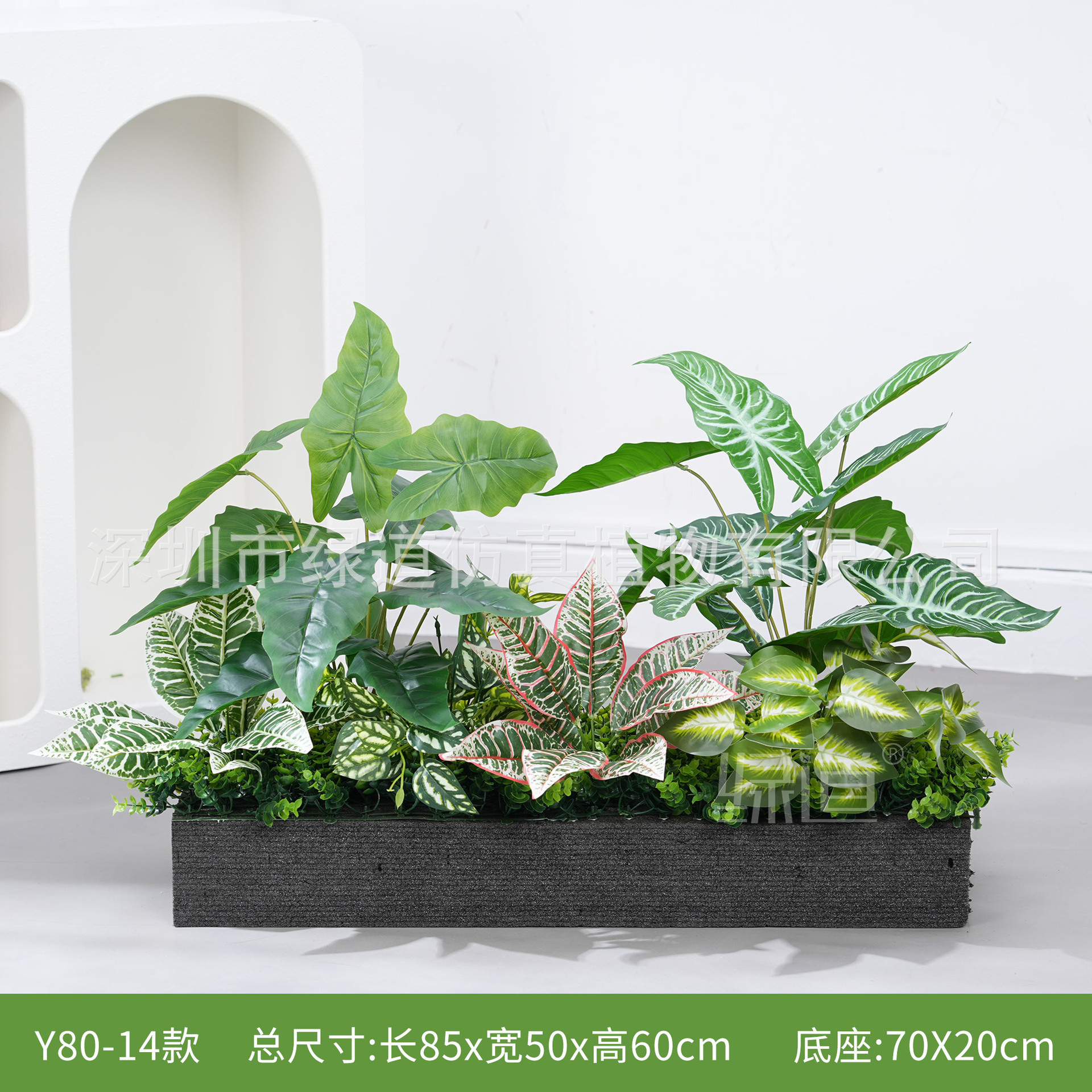 hc-Y80-14 convient aux jardinières de 80 cm