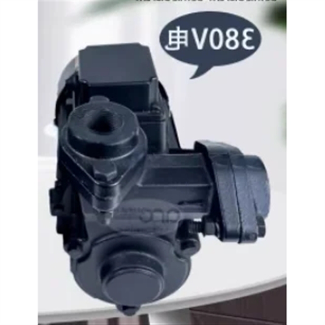 High temperature resistant oil pump TS-63 370W 71 750W 80 1500W 380V 220V