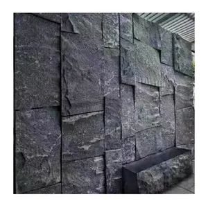 자연석 배경 벽 물 풍경 벽 TV 버섯 블랙 골드 참깨 화이트 화강암 자연 표면 모피 스톤