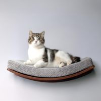 Vente chaude perchoirs robustes étagère murale flottante étagère à gratter échelle escalade jouer chat gratter bois chat étagère