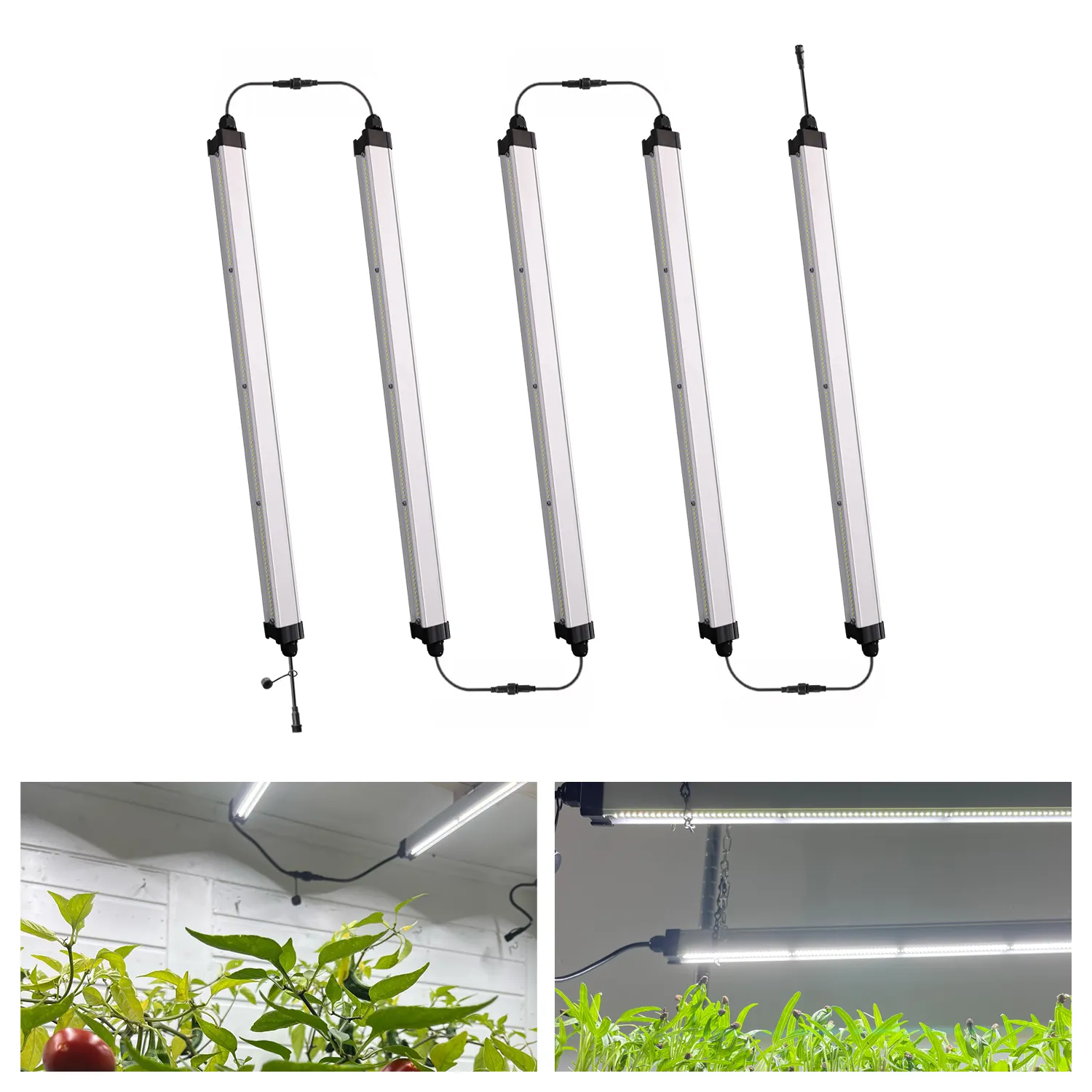 T5 tube connectable clone led vertical farm grow light led for hydroponics leafy green vegetables lettuce growing