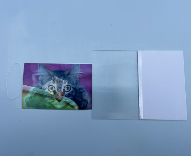 Real Factory 5 Stars Reviews Lenticular Photo-Booth Frame Plastic Transparent Eco-Friendly Acrylic Cartoon Pattern Lens Sheet