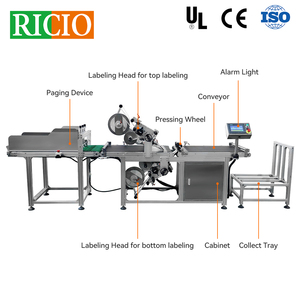 Máquina Etiquetadora Automática RICIO de Doble Cara para Etiquetas Autoadhesivas en Cajas, con Película Transparente para la Parte Superior e Inferior - Product Image 2