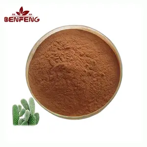 High-quality prickly pear powder fruit powder dried prickly pear powder