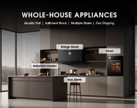 Nouveau design, four encastrable électrique 70L, facile à nettoyer, avec écran LED tactile, four de cuisson pour la cuisine, OEM