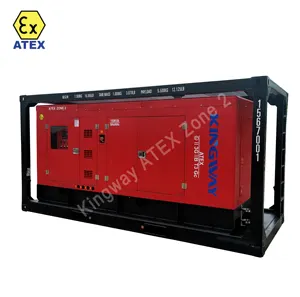 ATEX Certification 3 Phase 200kw 250kva Zone 2 Explosion Proof Diesel Generator Set Equipment With DNVGL 2.7-1 Skid Frame