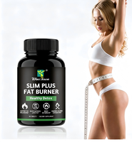 Compléments alimentaires naturels à base de plantes Slim Plus, comprimés brûleurs de graisse, brûle-graisses rapide, comprimés pour perdre du poids, améliore le métabolisme