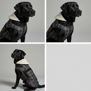 Chaqueta impermeable suave para perros abrigo de invierno para mascotas para razas pequeñas y medianas OEM chaleco grueso para clima frío al aire libre - Product Image 1