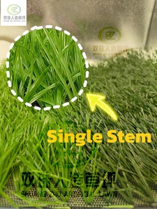 Giá Rẻ Giá 50Mm Nhân Tạo Hình Dạng Động Vật Ngoài Trời Màu Xanh Lá Cây Nhựa Không Thấm Nước Thân Thiện Với Môi Tổng Hợp Vườn Cỏ Thảm Thể Thao - Product Image 4