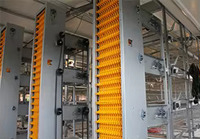 Cage à volailles de type H en fil galvanisé pour le ramassage automatique des œufs et des poules Poulailler Cage à batterie Mangeoire automatique