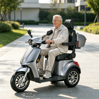 Scooter Eléctrico de 3 Ruedas, 1000W, 60V, 20Ah, 25KM/H, Disponible en la UE