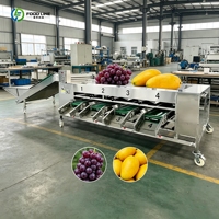 Hete Aanbieding Automatische Roltype Fruit- en Groentesorteermachine Voedselveilige 304 RVS Commerciële Fruit sorteermachine