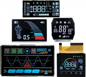 Module d'affichage LCD segmenté VA <span class=keywords><strong>TN</strong></span> HTN, affichage noir <span class=keywords><strong>et</strong></span> blanc négatif, faible consommation d'énergie pour générateur d'oxygène <span class=keywords><strong>et</strong></span> instrument médical - Product Image 1
