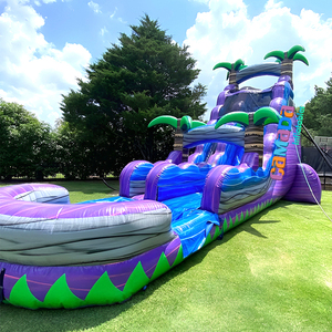 Toboggan aquatique gonflable géant Purple <span class=keywords><strong>Crush</strong></span> Plunge à double piste avec piscine à jets d'eau pour location dans les parcs sportifs - Product Image 4