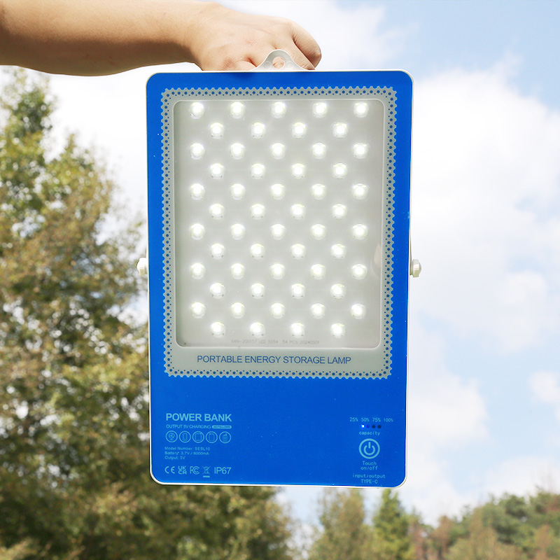 IP65 Outdoor Emergency Solar Light China Manufactured with Remote Control Feature for Daylight Savings