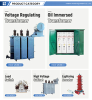 Autotransformador Metálico Trifásico de 100 kVA para Distribución de Energía, Frecuencia de 50 Hz, Corriente de Paso de 20 kV, Estructura de Bobina Toroidal