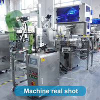 Machine d'emballage de sachets de thé triangle en nylon machine d'emballage automatique de sachets de thé noir café herbe triangle