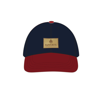 Gorra de béisbol de algodón multicolor de 6 paneles personalizada para exteriores, nuevo diseño, gorra deportiva para mujeres y hombres, ala curva, estilo callejero - Product Image 3