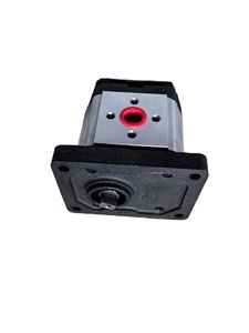 Piezas y componentes de equipos de ingeniería agrícola, bomba de engranajes C901-F310-005 - Product Image 1