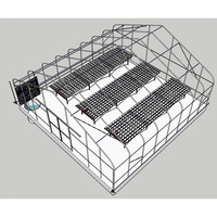 Système de culture verticale aquaponique de fraises AGG Greenhouse, système de canaux PVC NFT hydroponique, faible coût d'entretien