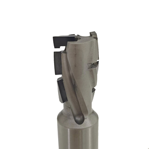 Tùy chỉnh PCD Tipped xoay <span class=keywords><strong>Router</strong></span> <span class=keywords><strong>bit</strong></span> CNC khắc công cụ kim cương <span class=keywords><strong>Router</strong></span> bits phay Cutter cho vừa fiberboard - Product Image 6