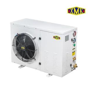 Koeling Condenserende Eenheid 2HP Lage Temperatuur Met ZSI06KQE Scroll Compressor Koude Kamer Condenserende Eenheid