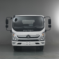 Camion léger FOTON Aumark-E, camion de fret sec à plateau, 3 tonnes, Euro 2, diesel, 116 CV, 5 vitesses manuelles, Cummins