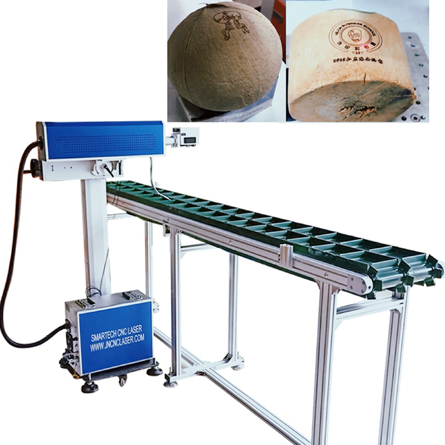 Best Sale CO2 Laser Marking System Laser Marker for Coconut Visual Laser Marker