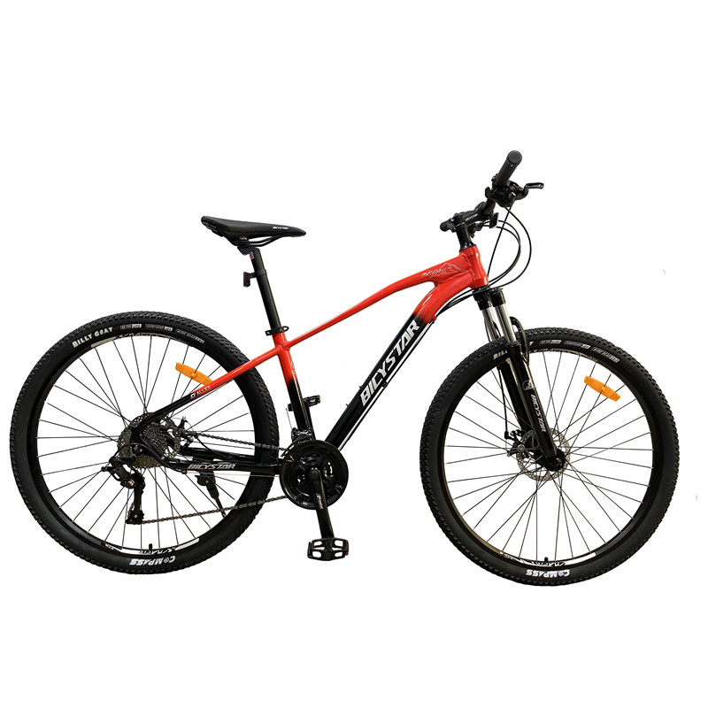 philippines double suspension bike mountain 29 inch 12 speed lauxjack cube bike