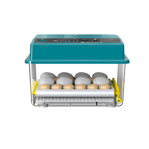 Nouveau design de mini incubateurs et machine à couver de couleur verte 36 œufs de poule <span class=keywords><strong>Couveuse</strong></span> à œufs entièrement <span class=keywords><strong>automatique</strong></span> - Product Image 1
