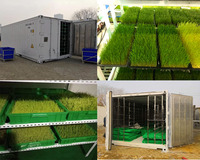 Machine de germination hydroponique automatique pour la culture de fourrage et la germination des graines Machine de germination hydroponique Chambre de germination des graines