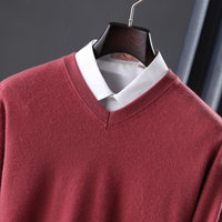 Pull en cachemire 100% pour homme, col en V, manches longues, pull uni décontracté pour le travail, haut en tricot