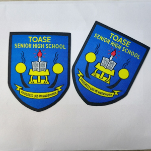 Fourniture de cadeau promotionnel fer sur les patchs de vêtements sweat à capuche brodé personnalisé badges tissés en <span class=keywords><strong>3D</strong></span> étiquette pour les vêtements d'uniforme scolaire - Product Image 1