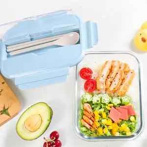 Nouveau Offre Spéciale borosilicate verre alimentaire boîte à lunch avec une cuillère séparation boîte de rangement bento box bac à légumes