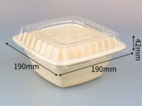 Einweg-Geschirr Umweltfreundliche Biologisch Abbaubare Quadratische Zuckerrohr-Bagasse-Schüssel mit PET-Deckel Mikrowellengeeignet für Camping Hotels
