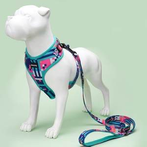 <span class=keywords><strong>Collar</strong></span> de entrenamiento de diseño personalizado para perros medianos y grandes, suave, de alta calidad - Product Image 3