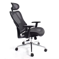 Chaise ergonomique en maille avec soutien lombaire et appui-tête réglables pour le bureau et le télétravail, usage quotidien