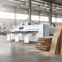 Scie à panneaux CNC Alpha H2800 pour bois et contreplaqué, machine de découpe automatique informatisée pour une découpe de précision du bois