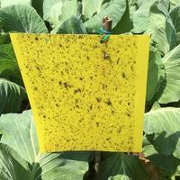 Stevige gele dubbelzijdige bloemvormige kleefplaat voor insecten, nieuwe voorraad, vliegenvanger, sticker, muggenlamp, ongediertebestrijding