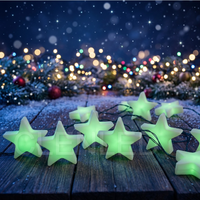 Lumières de Noël créatives en forme d'étoile, 24V UCS2903, module LED RGB à pixels, lumières de fête en extérieur pour la décoration de festivals et de mariages
