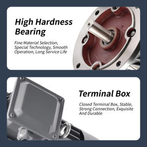 Motor de Inducción Asíncrono Trifásico de <span class=keywords><strong>Hierro</strong></span> Fundido 380V <span class=keywords><strong>1</strong></span>.1kW <span class=keywords><strong>1</strong></span>.5HP IP55 50Hz Eficiencia IE3 Modelo YE3-90S-4 - Product Image 6