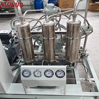 Compresseur de surpression d'azote NUZHUO à économie d'énergie pour le remplissage de bouteilles, station de remplissage d'azote, avec certifications CE ISO TUV