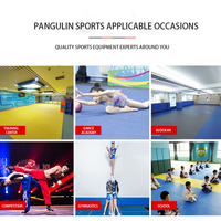 Gymnastik matten Xpe Schaum teppich Vinyl Surface Gym Cheer Tumbling Landing Crash Cheerleading Roll matten Anpassbar