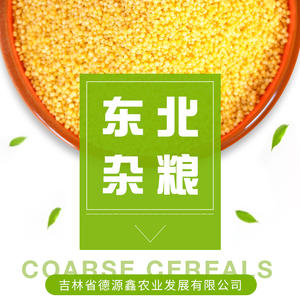 Millet jaune décortiqué biologique premium non glutineux Deyuanxin 25kg en vrac de Jilin Chine - Durée de conservation de 18 mois pour la transformation alimentaire - Product Image 3