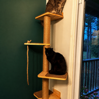 Arbre à chat mural en bois massif, tour inclinée avec plateforme de saut et lit intégré, style campagnard pastoral, en carton