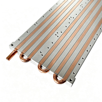 Plaque de refroidissement liquide personnalisée 170*400*13mm avec tubes en cuivre intégrés pour la gestion thermique
